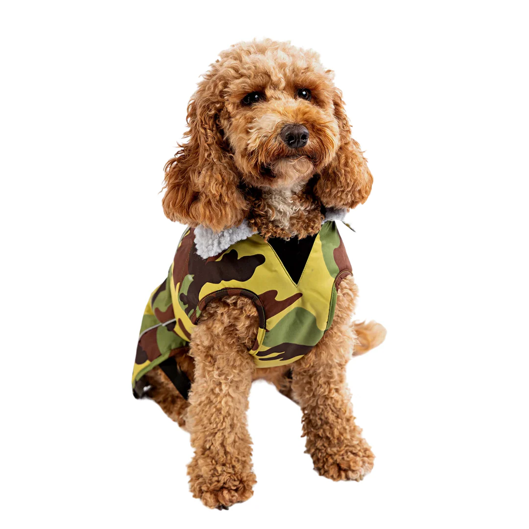 Dryrobe Dog - Image 4